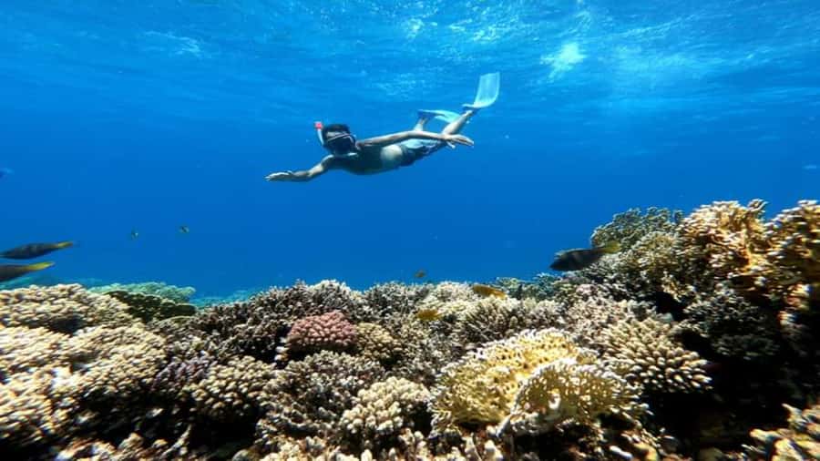 Hurghada: Snorkeling 6 x 1 to Orange Bay w Diving & Massage - Key Highlights You’ll Actually Care About