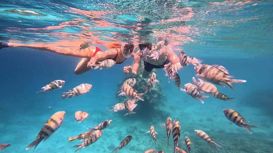 Hurghada: Snorkelling Trip by Speedboat with Hotel Pickup - Stop Three: Abu Mingar and the Mangrove-Edged Feel