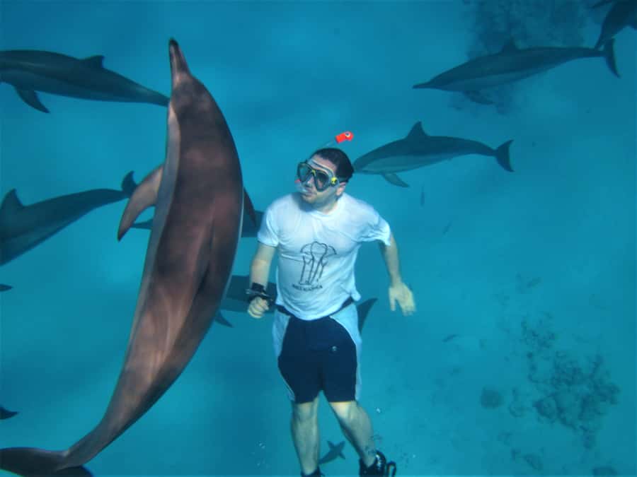Hurghada: Speedboat Dolphin Watching & Snorkeling with Lunch - Snorkeling the Red Sea: reef stops, gear, and a guide who makes it easier