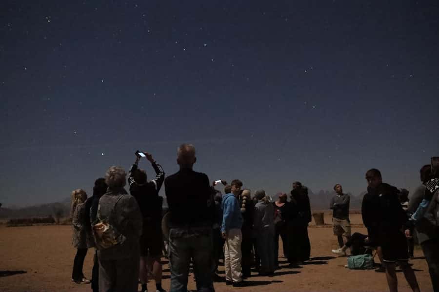 Hurghada: Sunset Camel Ride with Dinner - Tree Planting, Farm Work, and Farm-to-Table Lunch: the softer side of the desert night