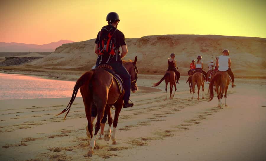 Hurghada: Sunset Sea, Desert Horse W Opt, Dinner, Stargazing - The pickup area matters more than you think