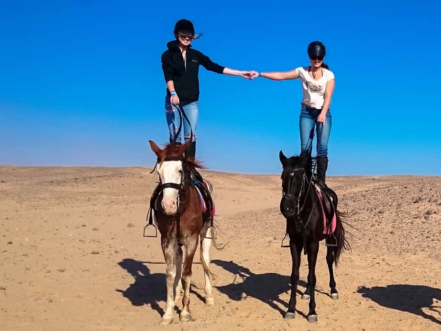 Hurghada: Sunset Sea, Desert Horse W Opt, Dinner, Stargazing - Dinner, dance show, or stargazing: pick your favorite way to end the night