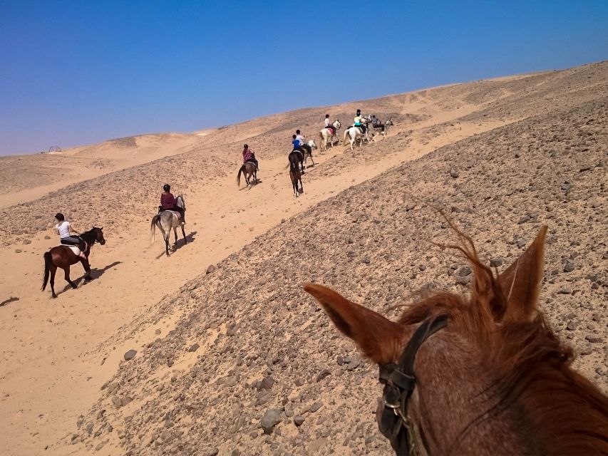 Hurghada: Sunset Sea, Desert Horse W Opt, Dinner, Stargazing - Price and value: why $29 can be a solid deal