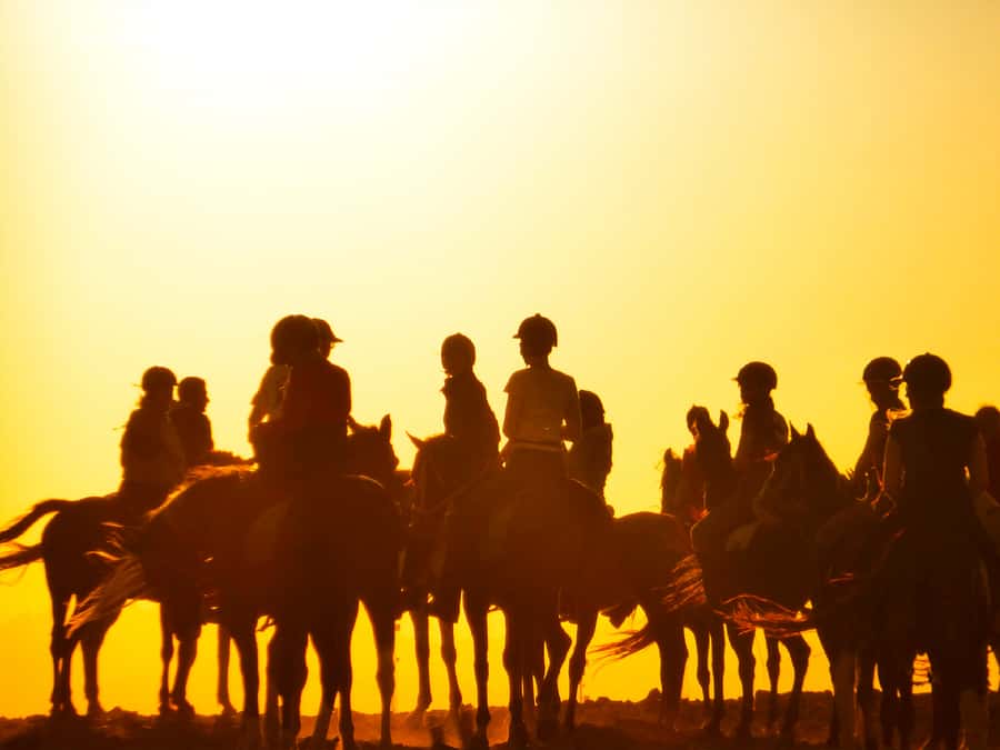 Hurghada: Sunset Sea, Desert Horse W Opt, Dinner, Stargazing - Comfort, safety, and what to pack so you don’t suffer
