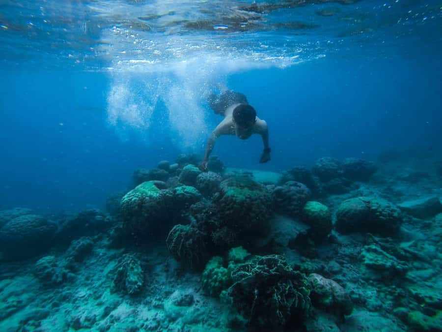 Hurghada:Luxury Diving & Snorkeling inc/Island/Lunch/Massage - Getting Picked Up and Staying On Schedule Without Stress