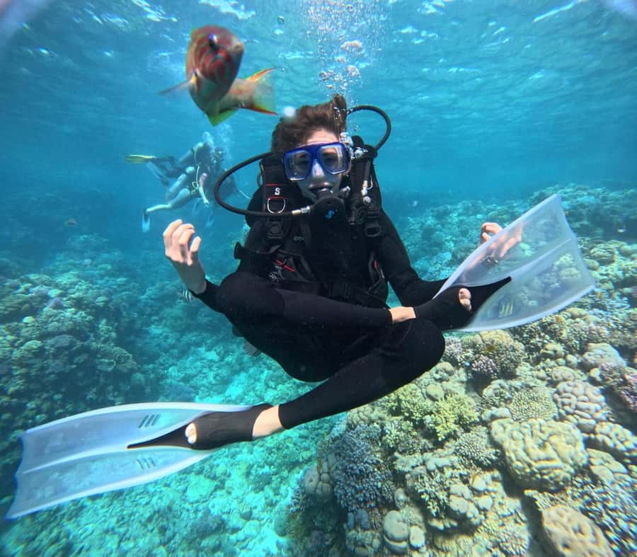 Intro Diving Beginner and Discover Red Sea Underwater - Key highlights you’ll actually care about