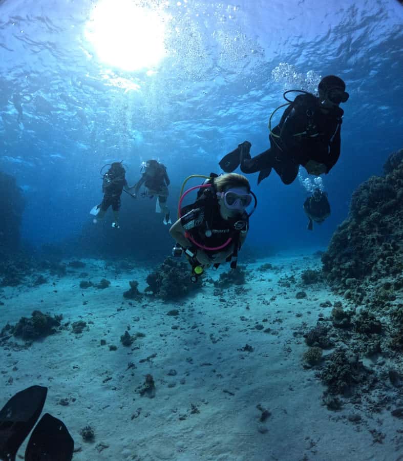 Intro Diving Beginner and Discover Red Sea Underwater - Before you go under: paperwork, equipment fitting, and a clear briefing