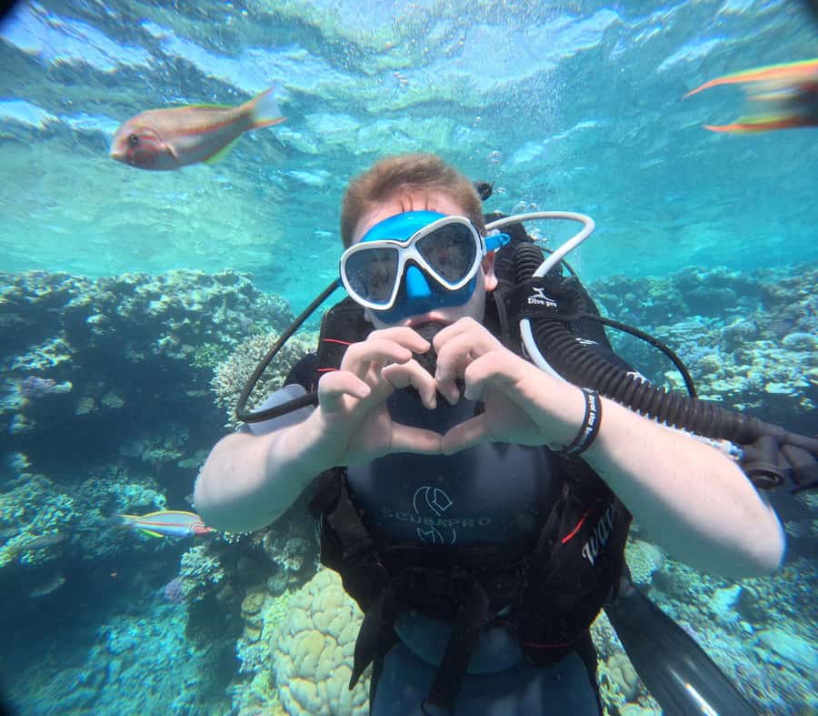 Intro Diving Beginner and Discover Red Sea Underwater - Hotel pickup in Hurghada and the day’s pacing