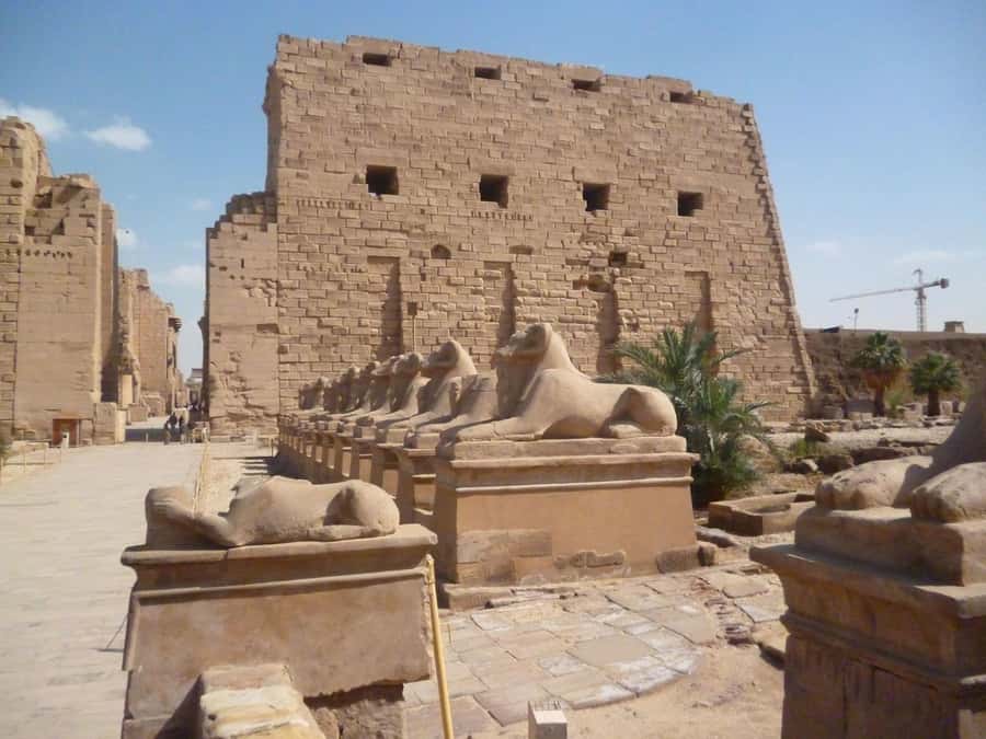 Luxor: Private East and West Banks Tour and Felucca Cruise - Lunch at a local restaurant: plan for timing, not just taste