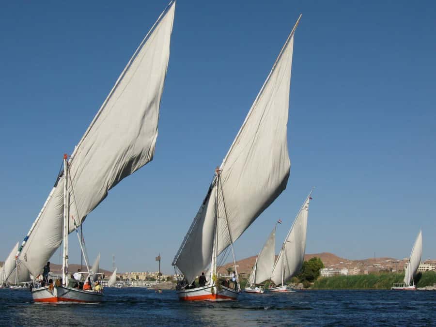Luxor: Private Felucca Boat Trip with Hotel Pickup - Who’s Running the Trip: Adham, Crew, and On-the-Water Care