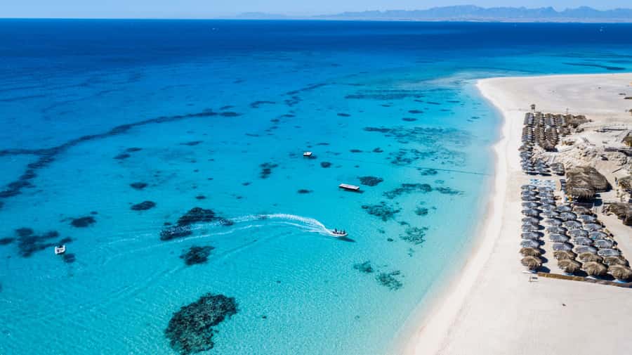 Mahmya Island: Red Sea Sailing Experience - The midday snorkeling trip: boat to a major reef