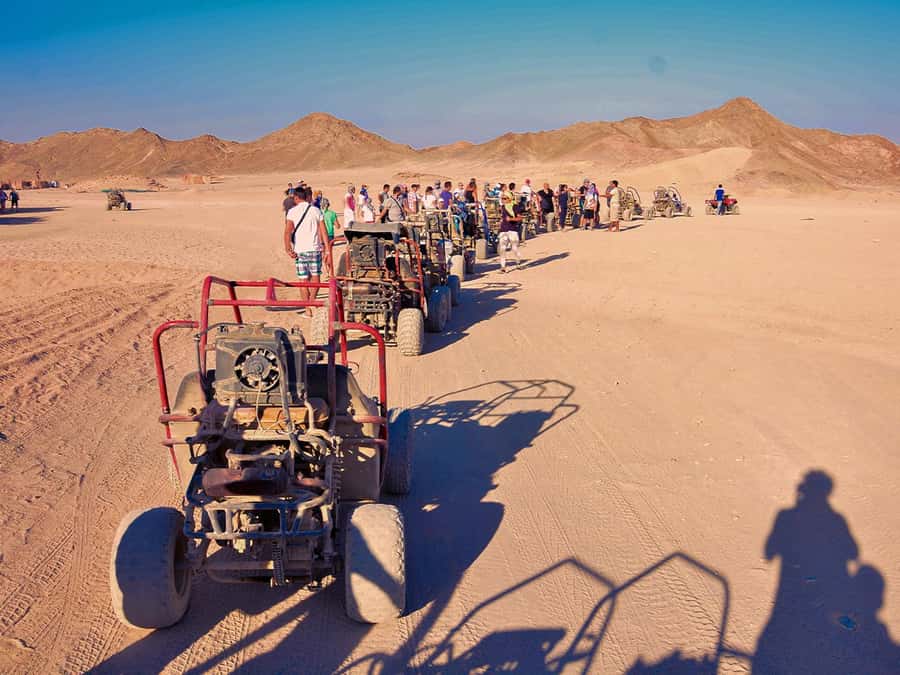 Makadi Bay: ATV, Sea View, Camel, Stargazing, Dinner & Show - Dinner, Dance Show, and Live Entertainment in the Evening