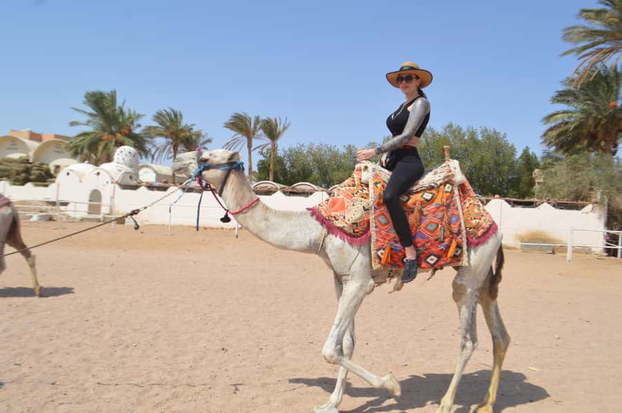 Makadi Bay: ATV, Sea View, Camel, Stargazing, Dinner & Show - Stargazing Under Real Desert Darkness