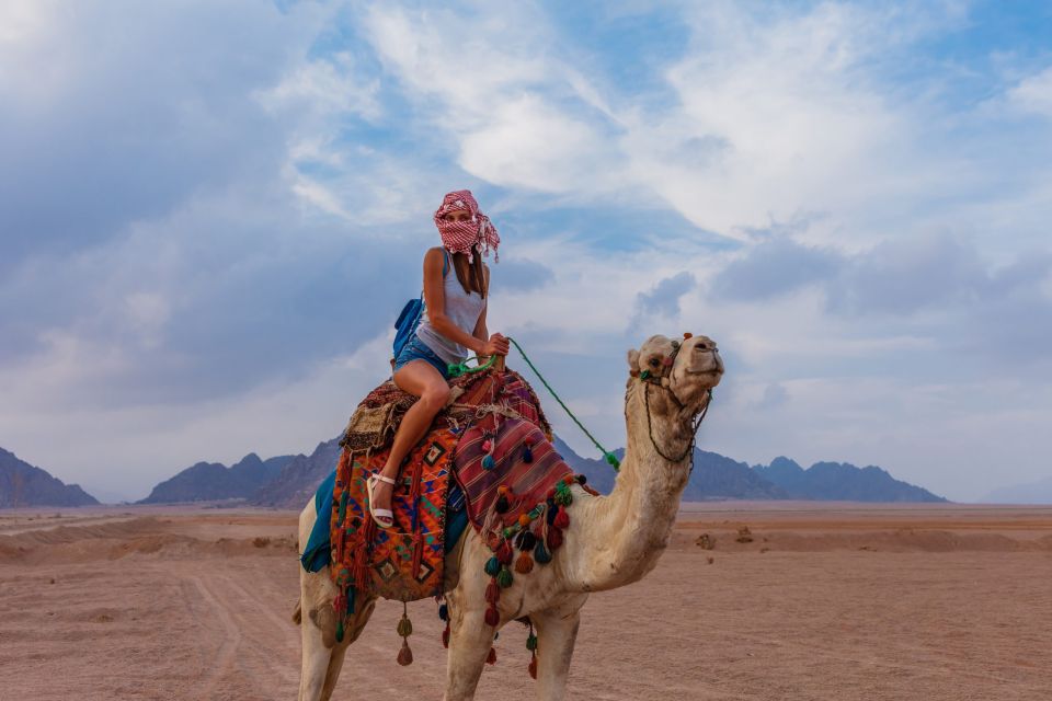 Marsa Alam Bedouin Nights: Jeep Safari, Dinner & Stargazing - Bedouin camp arrival: tea first, then the sunset pause