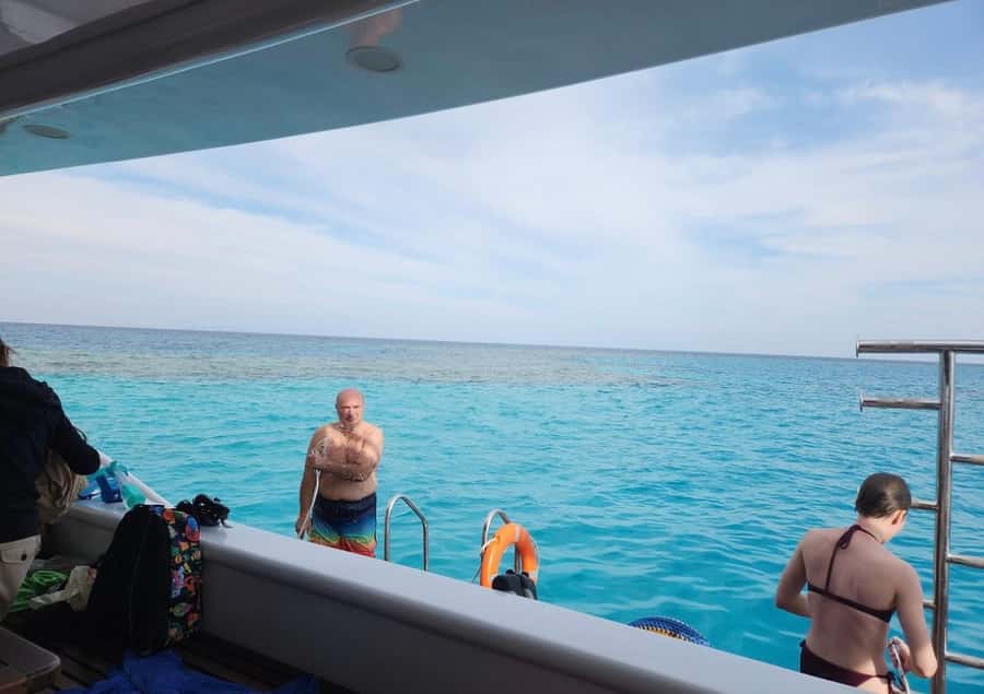 Marsa Alam: Elite vip Turtle bay snorkeling with BBQ Lunch - Wildlife odds: turtles, dugong reports, dolphins, and what guides try to do