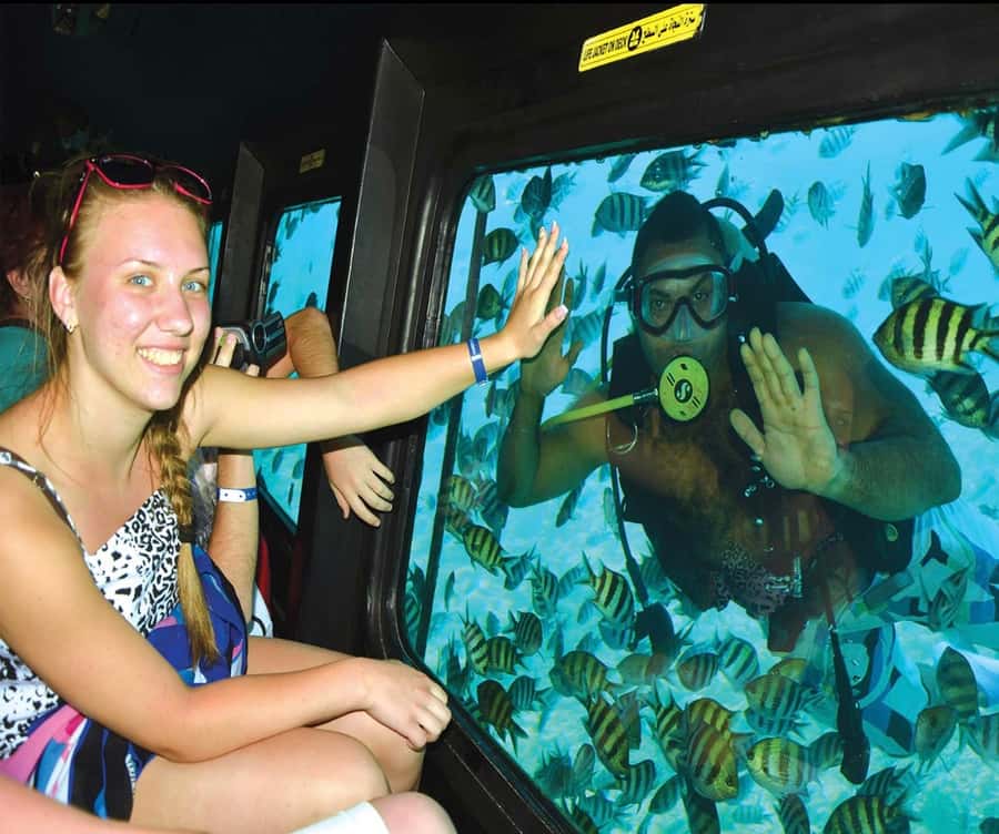 Marsa Alam: Royal Seascope Submarine Cruise with Pickup - Descending to the air-conditioned glass deck (your 45-minute viewing block)
