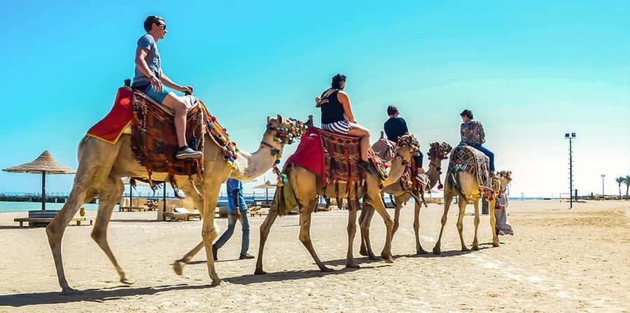 Marsa Alam: Sea and Desert Camel Riding Tour - Key things to know before you go