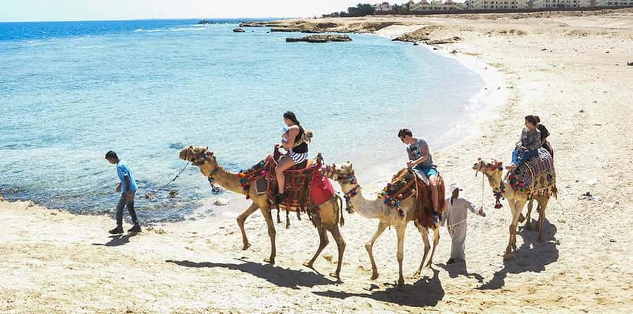 Marsa Alam: Sea and Desert Camel Riding Tour - Getting from your hotel to the desert base without stress