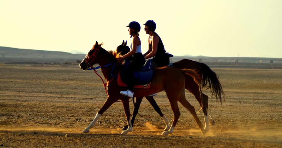 Marsa Alam: Sea and Desert Horse Riding Tour - Marsa Alam on a calm horse: what the experience feels like