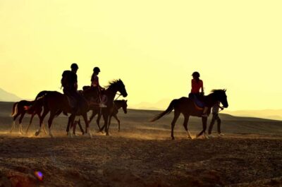Marsa Alam: Sea and Desert Horse Riding Tour - Timing options: sunrise light, flexible departures, and golden-hour vibes