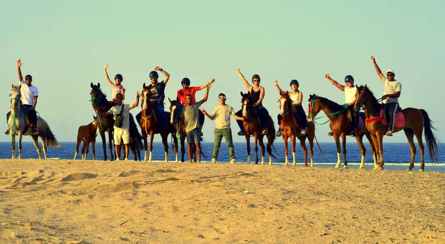 Marsa Alam: Sea and Desert Horse Riding Tour - Horses and guides: why beginners feel safe and experienced riders still have fun