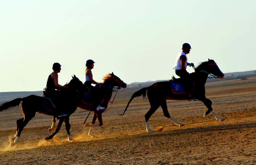 Marsa Alam: Sea and Desert Horse Riding Tour - Photo moments without feeling like a photo shoot