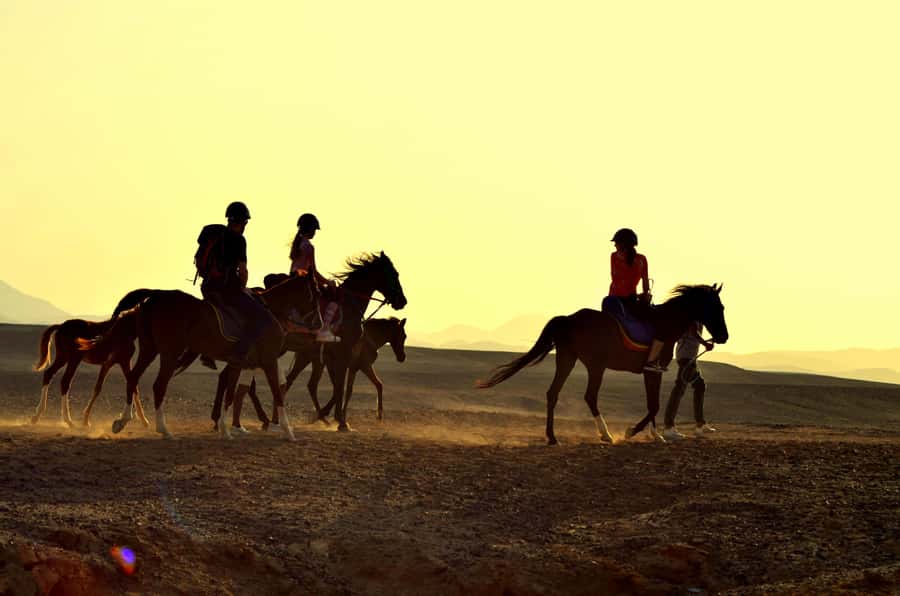 Marsa Alam: Sea and Desert Horse Riding Tour - Timing options: sunrise light, flexible departures, and golden-hour vibes