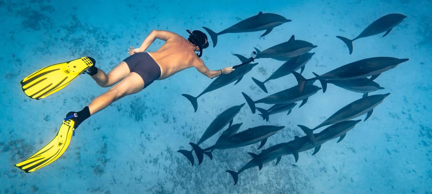 Marsa Alam:Sataya Reefs Dolphin Snorkeling Cruise with Lunch - Key things to know before you go