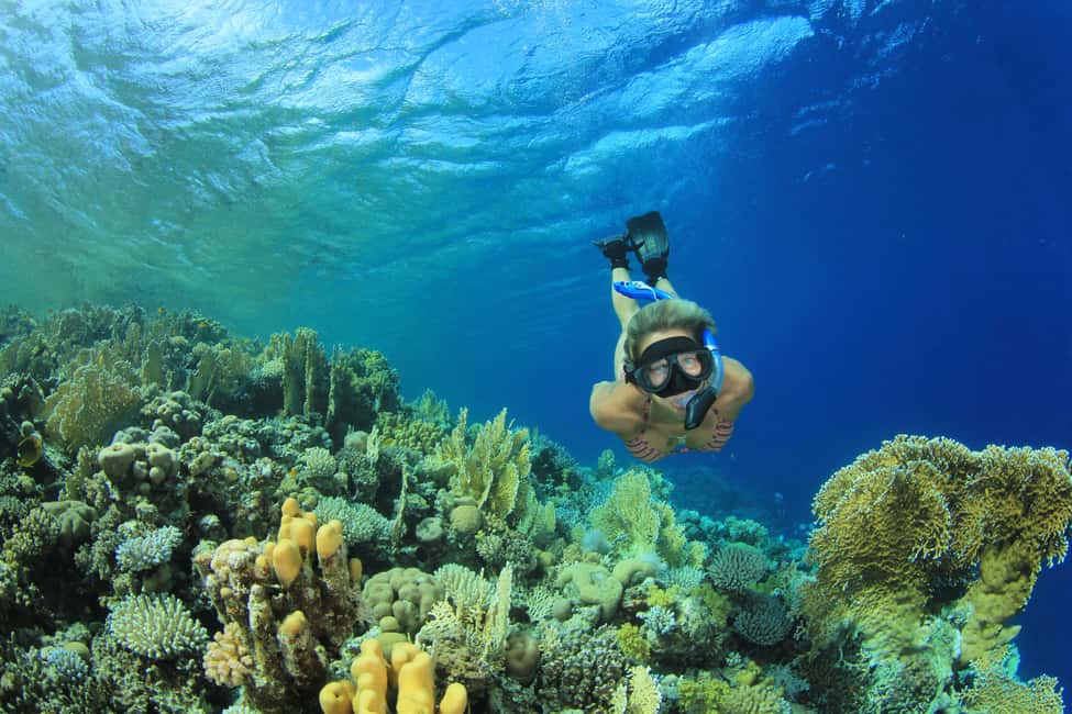 Marsa Alam:Sataya Reefs Dolphin Snorkeling Cruise with Lunch - Marsa Alam to Dolphin House for $90: what you’re really paying for