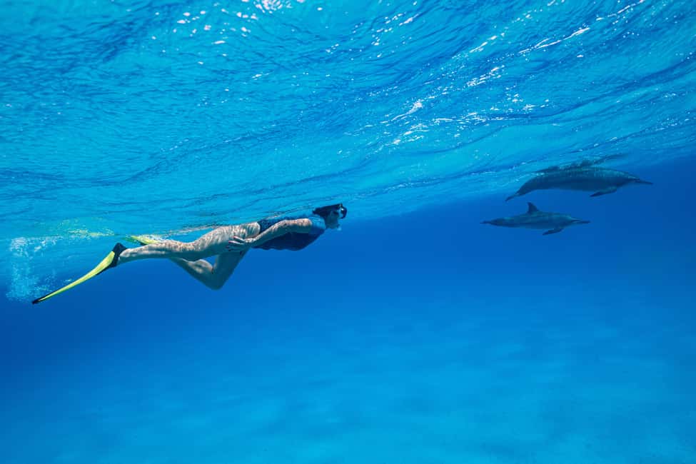Marsa Alam:Sataya Reefs Dolphin Snorkeling Cruise with Lunch - On the boat: shade, sun, toilets, and snorkeling gear