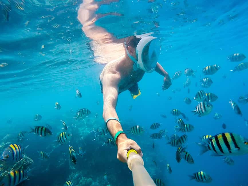 Marsa Alam:Sataya Reefs Dolphin Snorkeling Cruise with Lunch - Getting there: expect a long transfer day