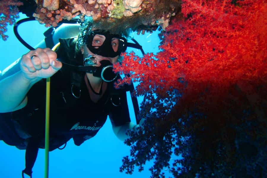 Sharm El Sheikh: Day sail to White island and Ras Mohamed - Practical expectations: the few things that can change your experience