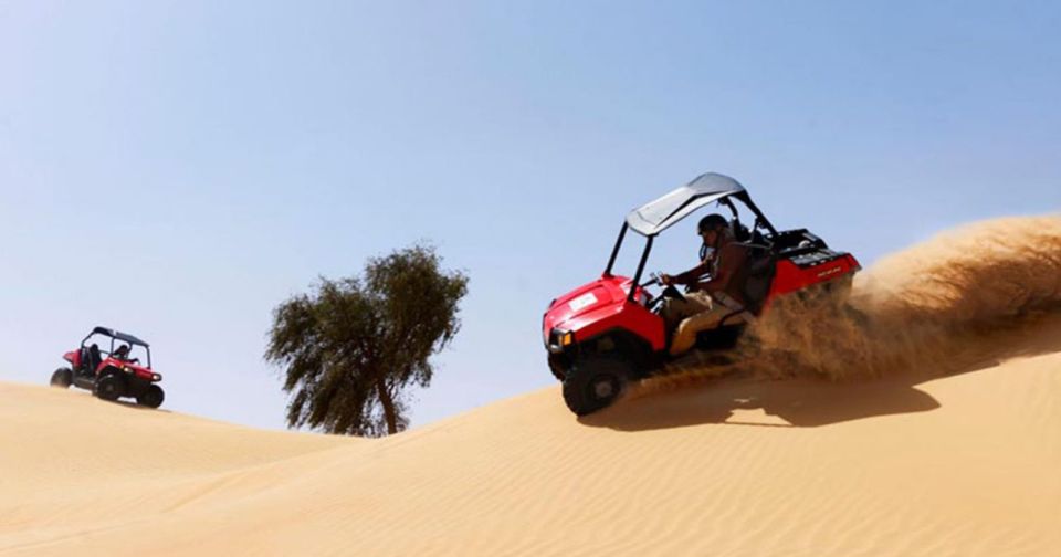 Sharm El-Sheikh: Desert Buggy Safari Adventure - Guides, safety, and the people who keep it fun
