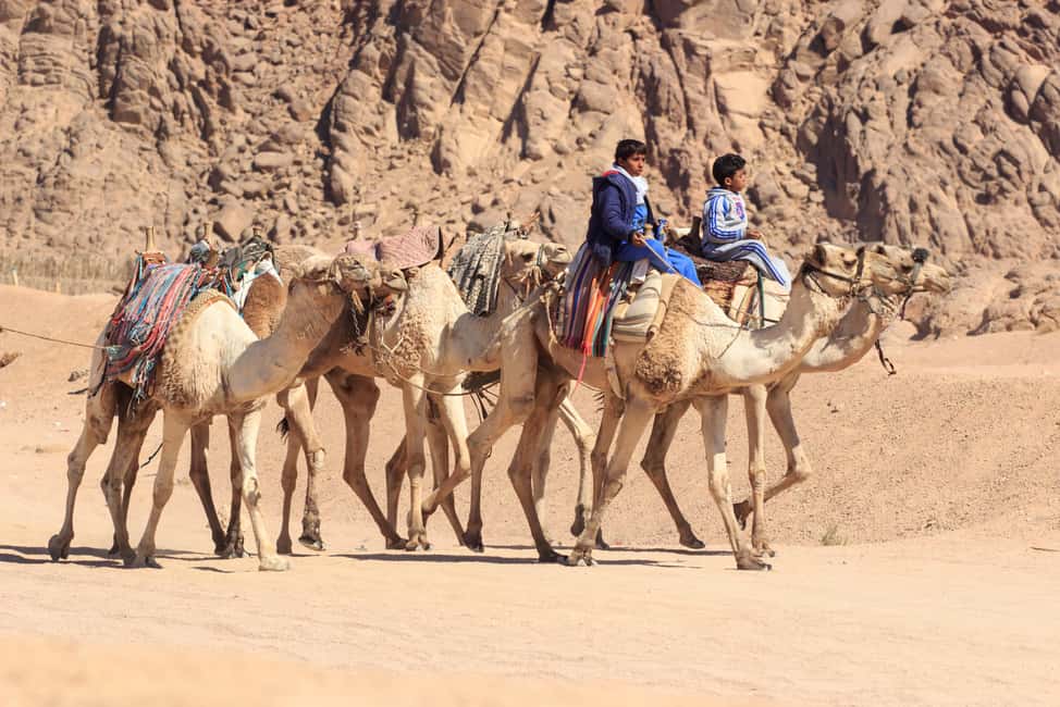 Sharm El-Sheikh: Morning Desert ATV Quad or Buggy Adventure - FAQ