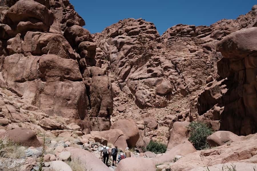 Sharm El Sheikh: Mount Sinai & St. Catherine's Monastery - Price and logistics: is $51 good value for a 15-hour day?