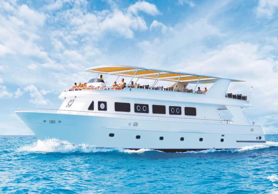 Sharm el-Sheikh: Premium Ras Mohammed & White Island Cruise - A premium-feeling Red Sea day (without the fuss)