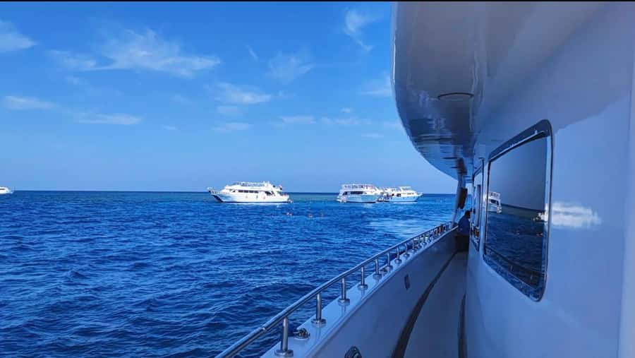 Sharm el-Sheikh: Premium Ras Mohammed & White Island Cruise - White Island: white sand, shallow water, and short beach bliss