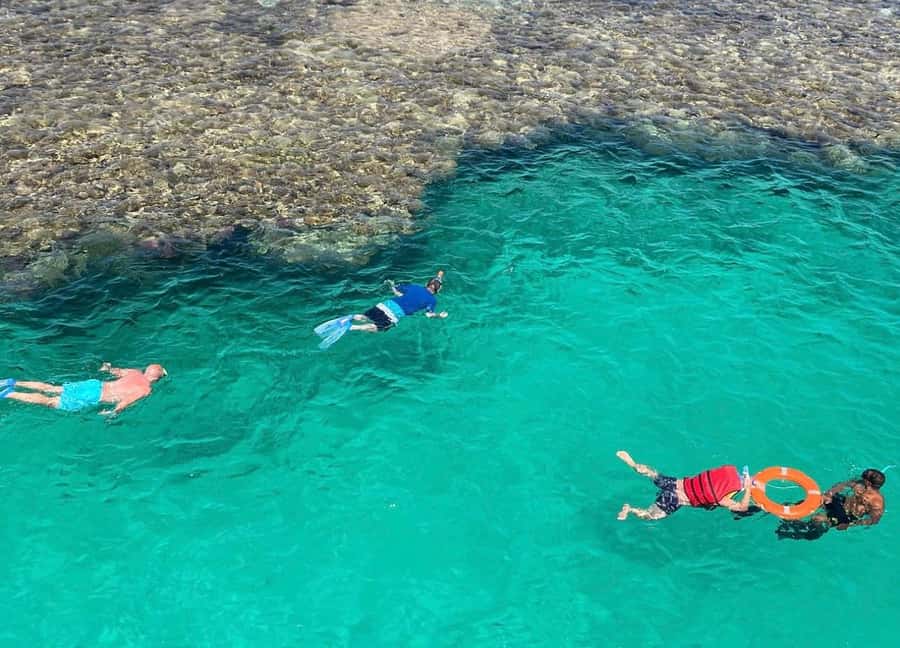 Sharm el-Sheikh: Premium Ras Mohammed & White Island Cruise - Guide quality: why the names keep showing up