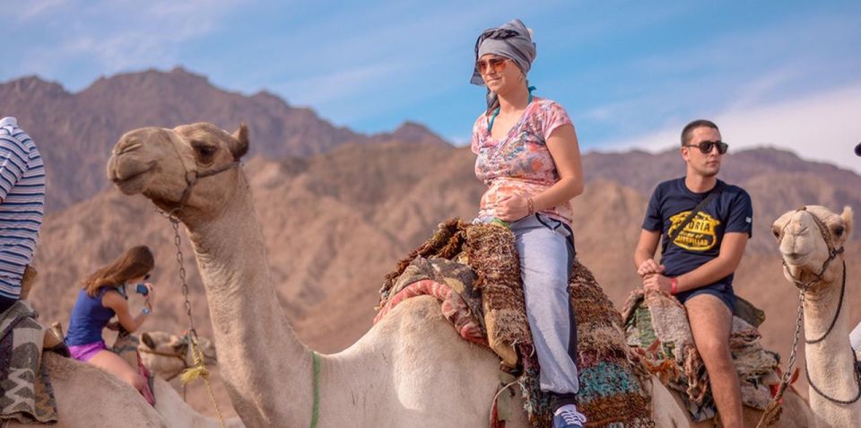 Sharm El Sheikh: Quad bike, Safari, Camel With Dinner & Show - Price and value: what $20 buys, and what you might still pay