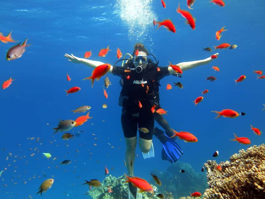 Sharm El Sheikh: Ras Mohamed Cruise with Snorkeling & Lunch - Crew and language: how help shows up on a marine day