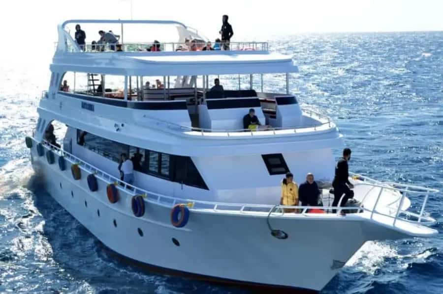 Sharm El Sheikh: Ras Mohamed & White Island Dive & Snorkel - Your First Scuba Session: Calm Coaching for Beginners