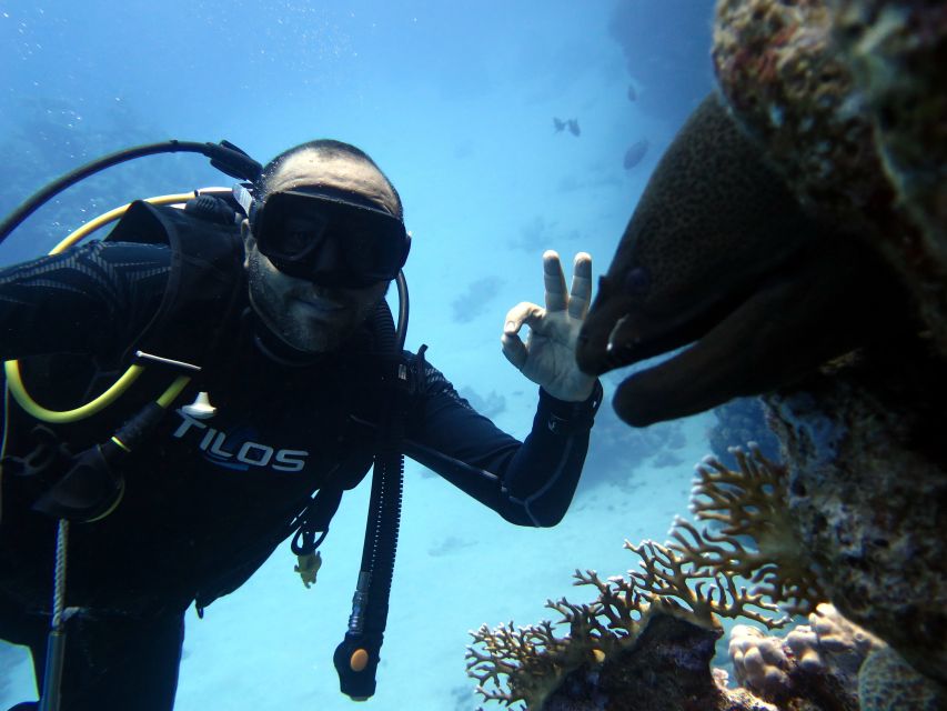 Sharm El Sheikh: Ras Mohamed & White Island Snorkel or Dive - Price and value: what $18 really means (and what to budget)
