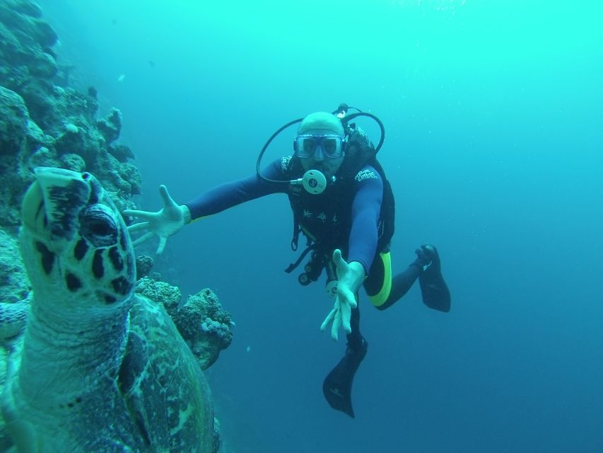 Sharm El Sheikh: Ras Mohamed & White Island Snorkel or Dive - Ras Mohamed and White Island: a smart Red Sea combo