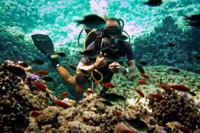 Sharm El Sheikh: Ras Mohamed & White Island Snorkel or Dive - Your choices: snorkeling, intro scuba, certified scuba, or night session