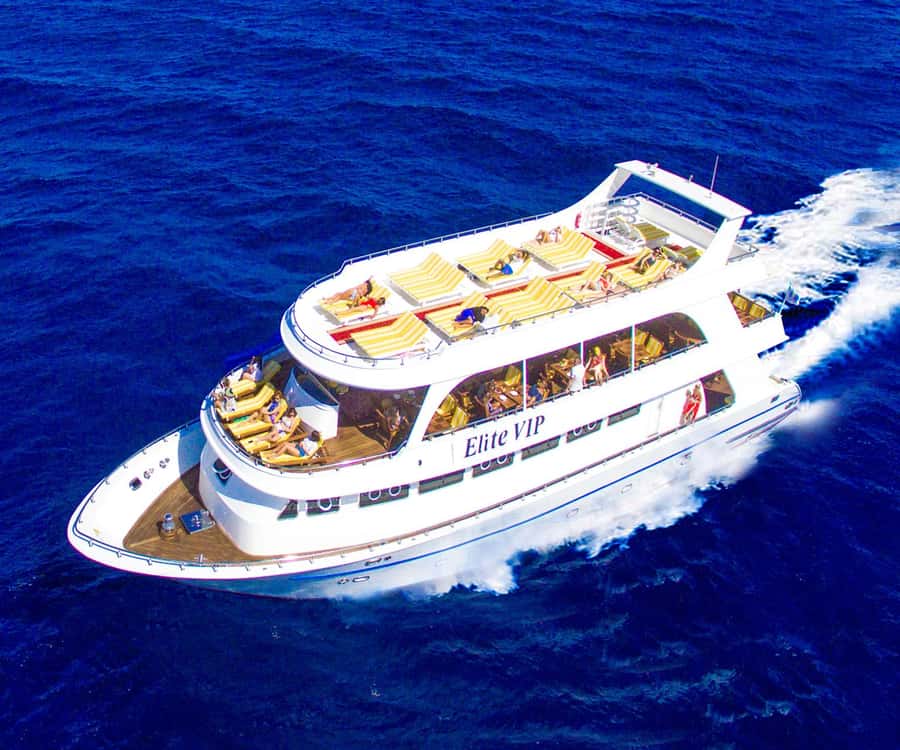 Sharm el-Sheikh: Ras Mohammed Elite VIP Cruise and BBQ Lunch - What You Really Get for the $80 Price