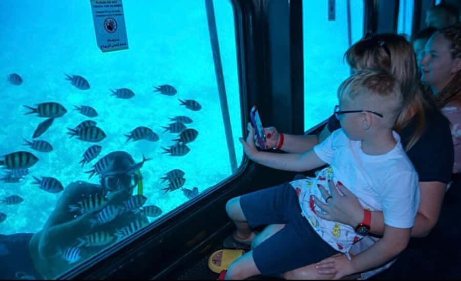 Sharm El-Sheikh: Seascope Submarine boat cruise with pickup - Getting There: Pickup, Shared Bus, and When to Be Ready