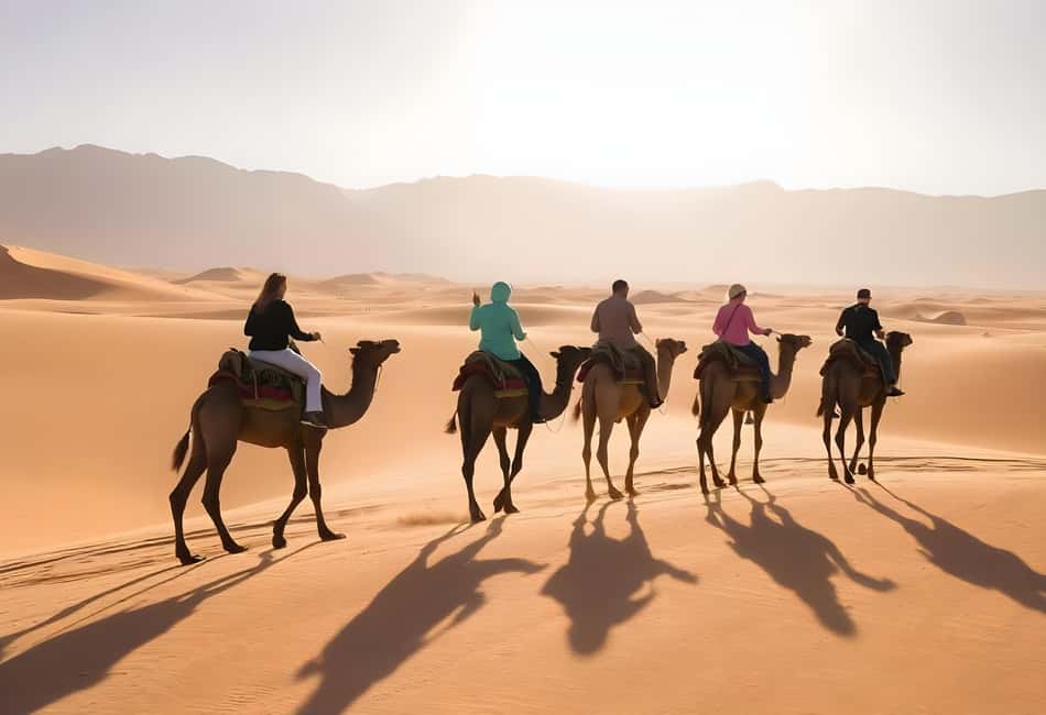 Sharm El-Sheikh: Ultimate ATV Quad, Stargazing & BBQ Dinner - BBQ dinner plus Tanoura and fire: the evening rhythm