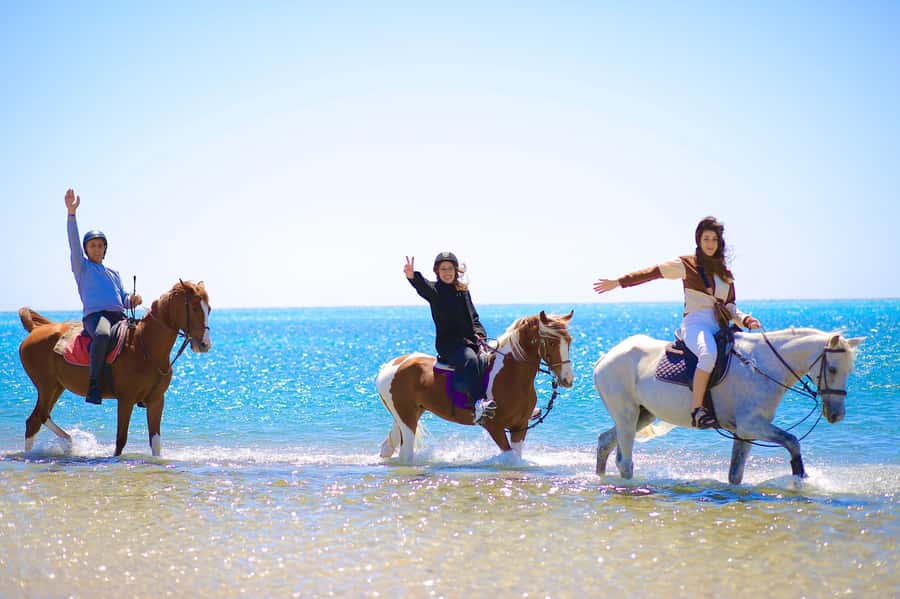 Sharm El Shiekh: Beach and City Desert Horse Riding Tour - The Main Event: Sinai Desert Riding and the Gallop That Feels Like Fresh Air