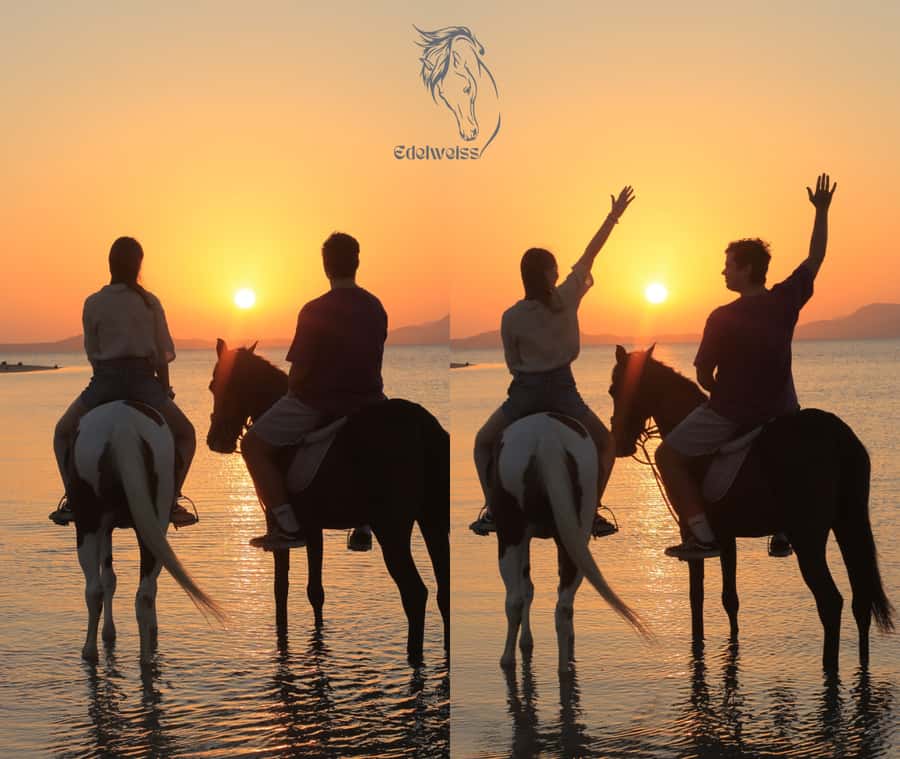 Sharm El Shiekh: Beach and City Desert Horse Riding Tour - Choosing Your Time: Sunrise Magic vs. the Practical Morning Trade-Off