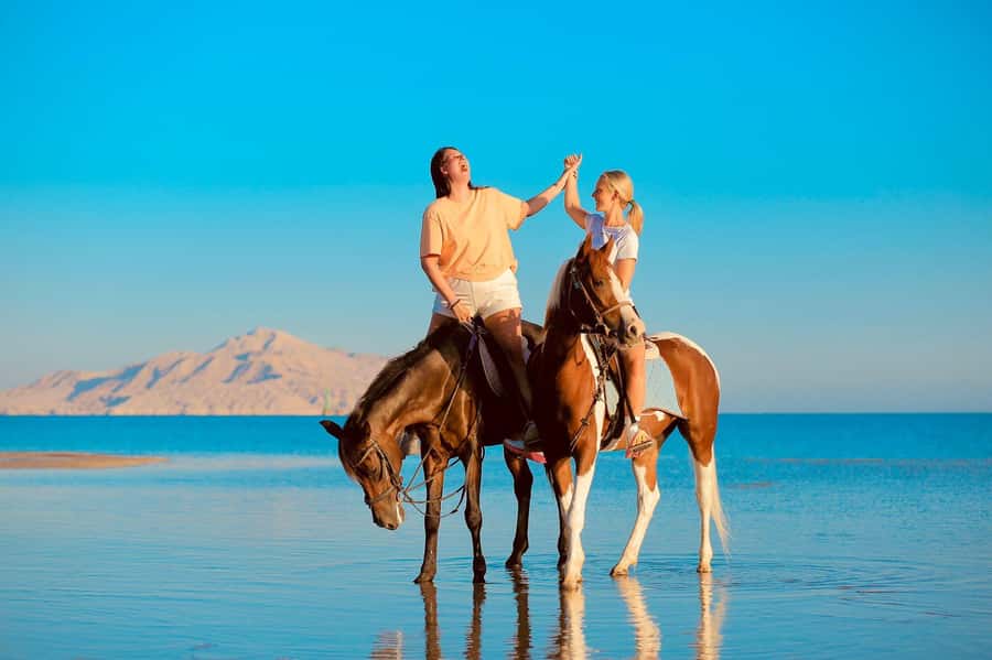 Sharm El Shiekh: Beach and City Desert Horse Riding Tour - Your Instructor and the Small-Group Advantage (Up to 5 Riders)